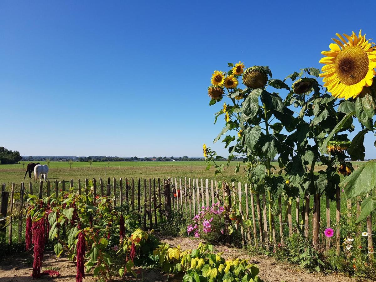 Heimatliebe Ferienwohnung Börgerende-Rethwisch Exteriér fotografie